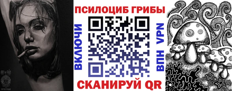 Галлюциногенные грибы Psilocybine cubensis  Полярные Зори 